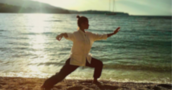 Main image of La Fenice asd Tai Chi - Qi Gong