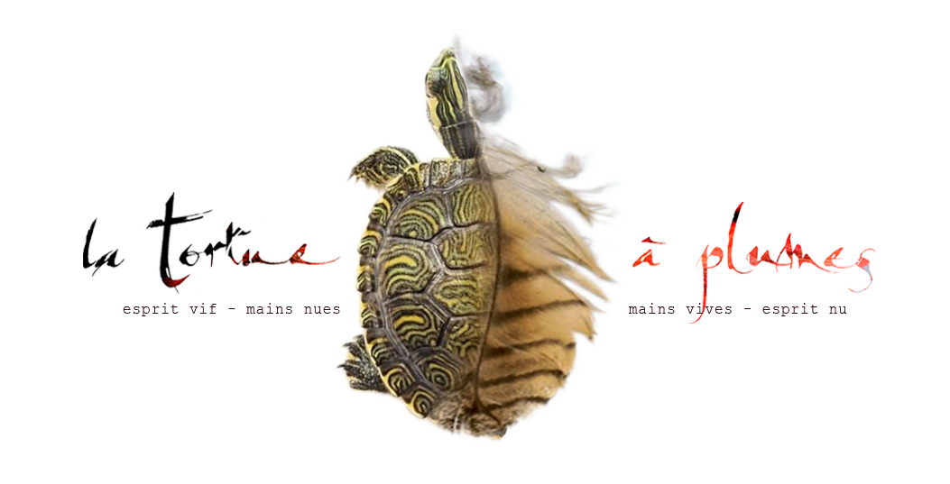 Main image of La Tortue À Plumes