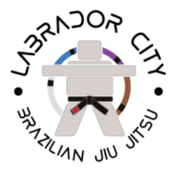 Main image of Lab City BJJ
