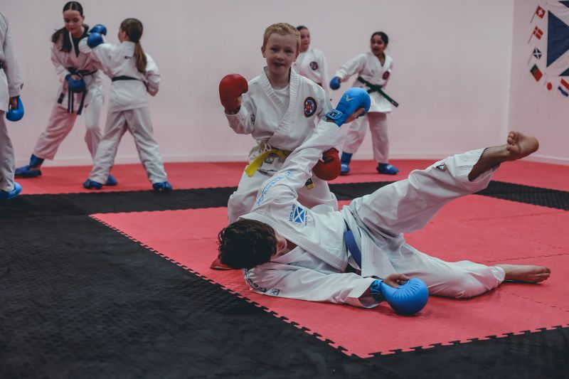 Main image of Lanarkshire Karate Academy