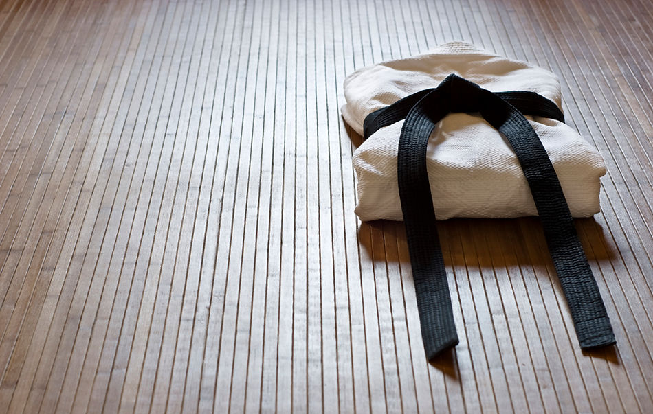 Main image of Lancashire Shotokan Karate Academy