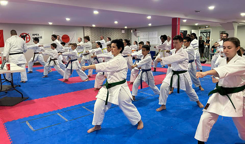 Main image of Larouche Karate