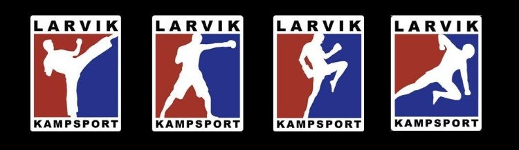 Main image of Larvik Kampsport