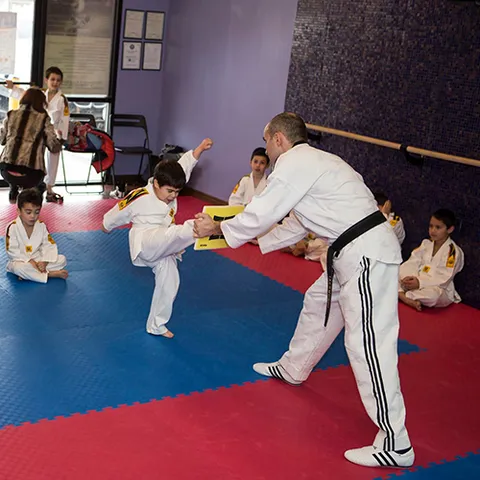 Main image of Las Vegas Taekwondo Studio