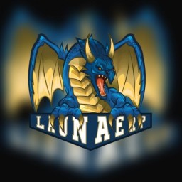 Main image of LAUNAERP