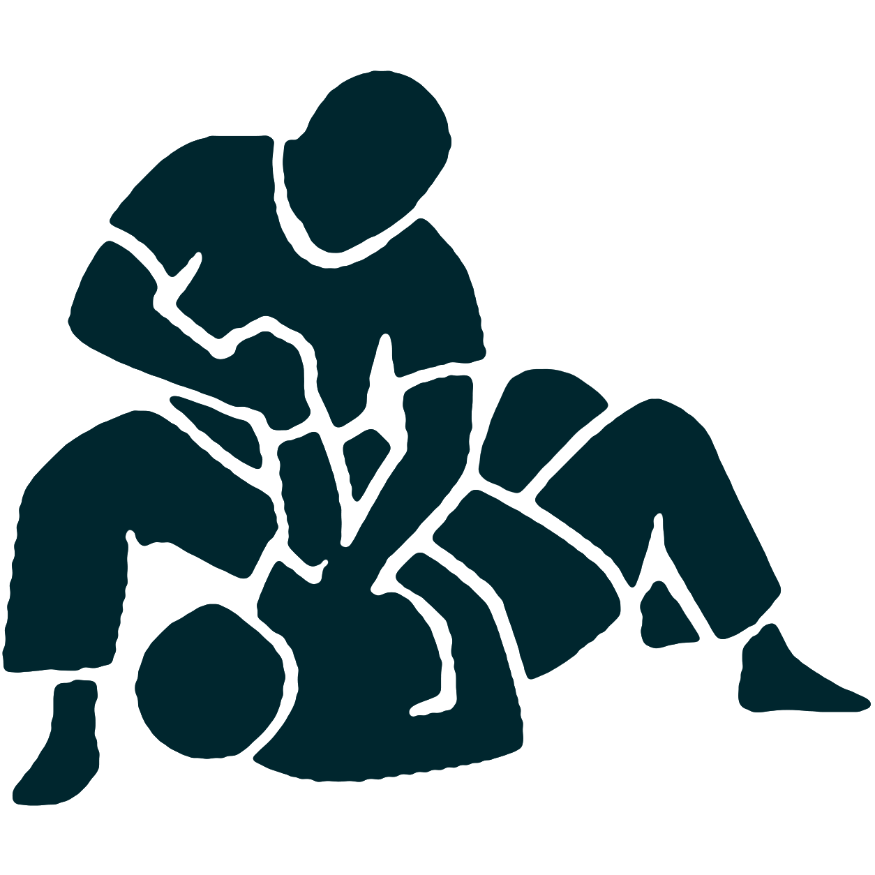 Main image of Laval Karate