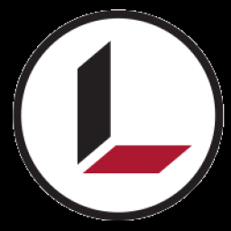 Main image of Lavin MMA