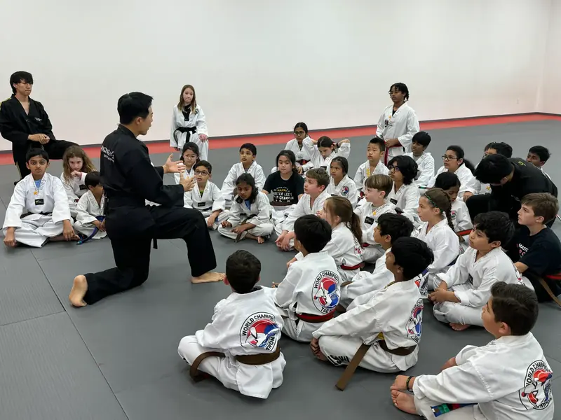 Main image of Leaders Taekwondo Firethorne, TX