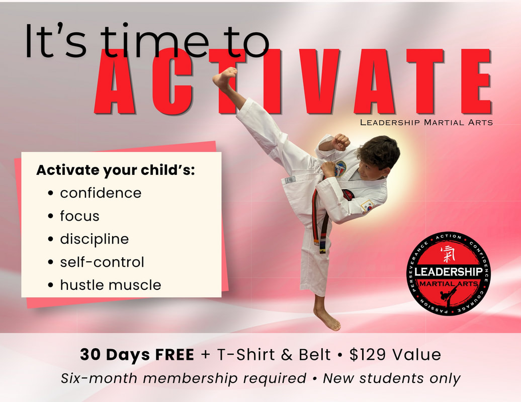 Main image of Leadership Martial Arts