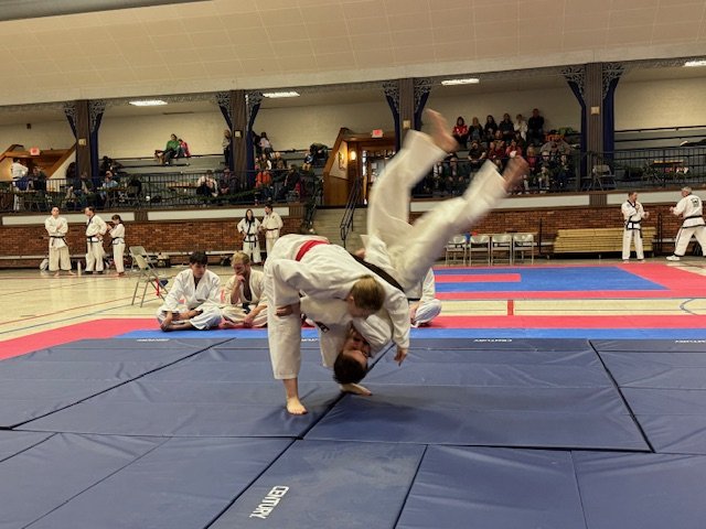 Main image of Lee H Park - Hapkido