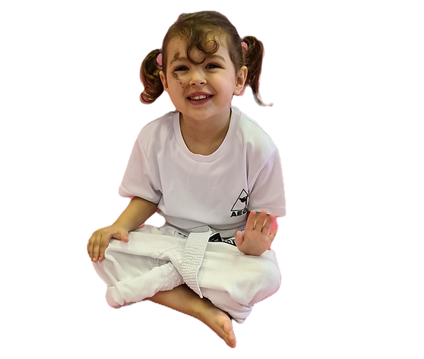 Main image of Leeds West AEGIS Martial Arts Academy