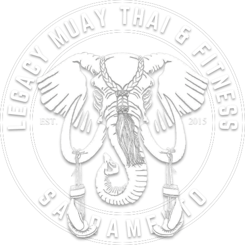 Legacy Muay Thai and Fitness academy photo