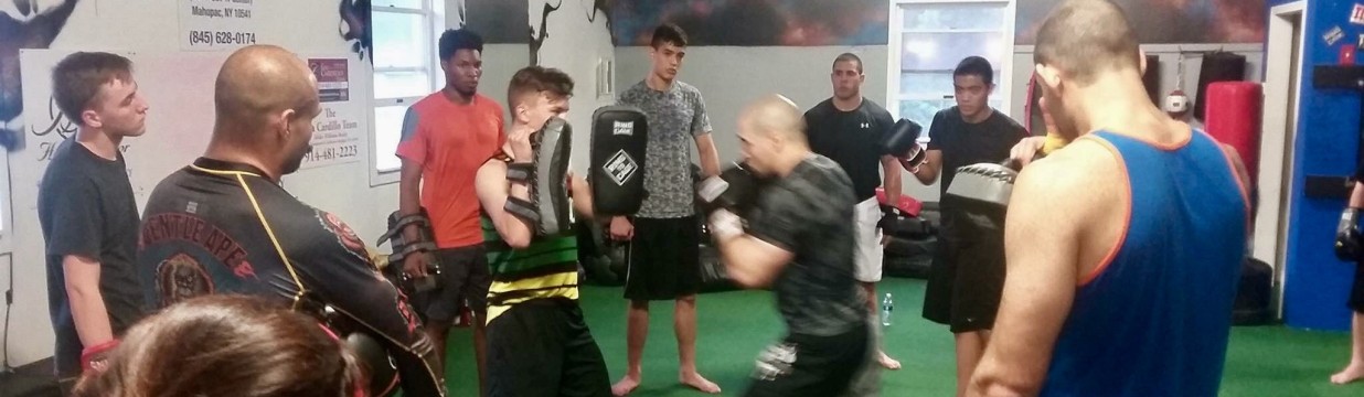Main image of Legado Combat Sports