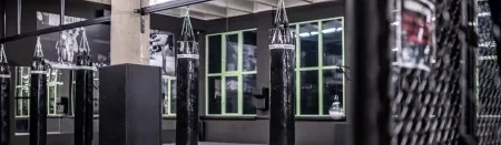 Main image of Legends Gym Zlín - MMA team