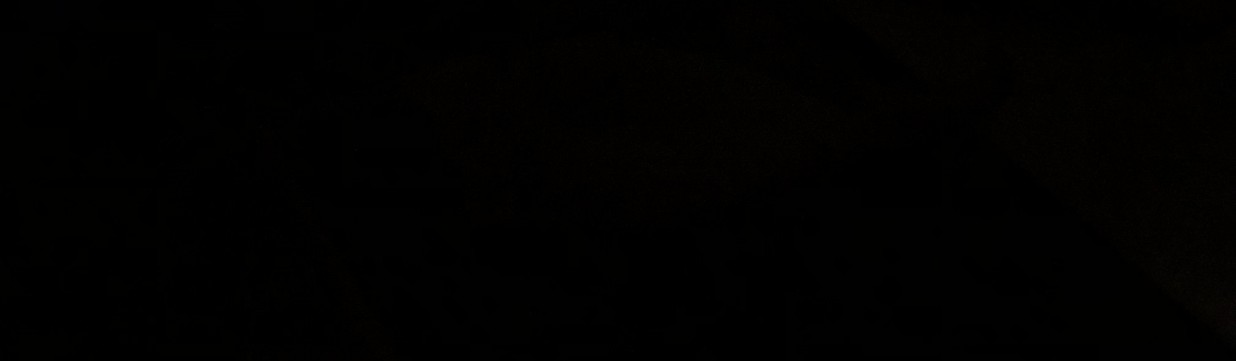 Main image of LEGION FIGHTERS