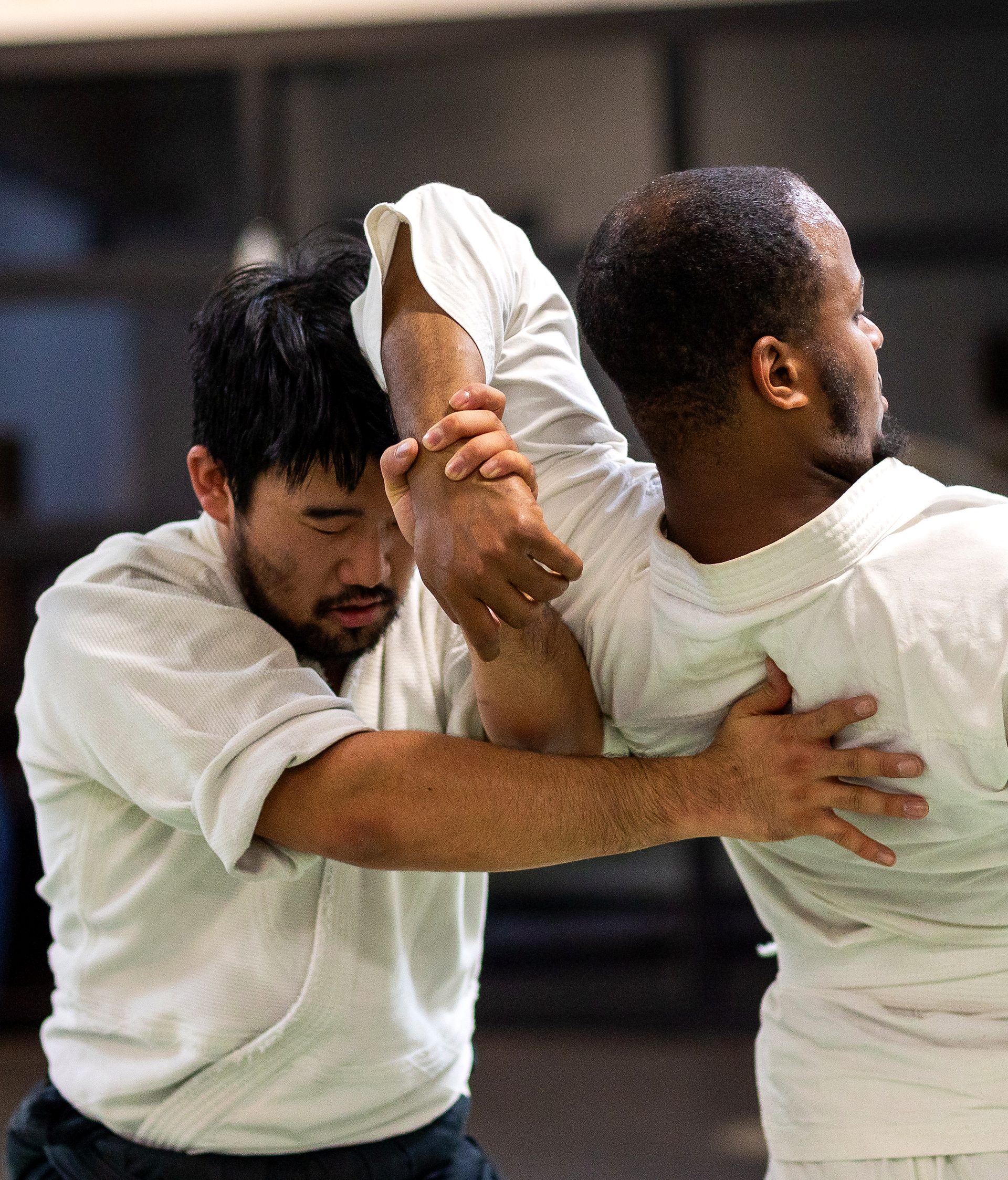 Main image of Lemon Hill Aikido