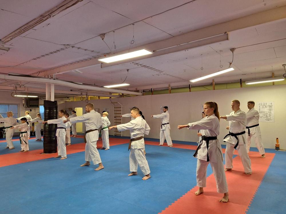 Main image of Lempäälän Shotokan Karate