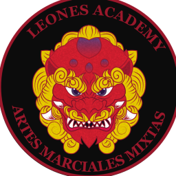 Main image of Leones Academy