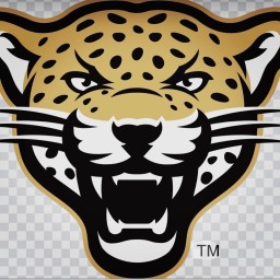 Main image of Leopard Jiu Jitsu