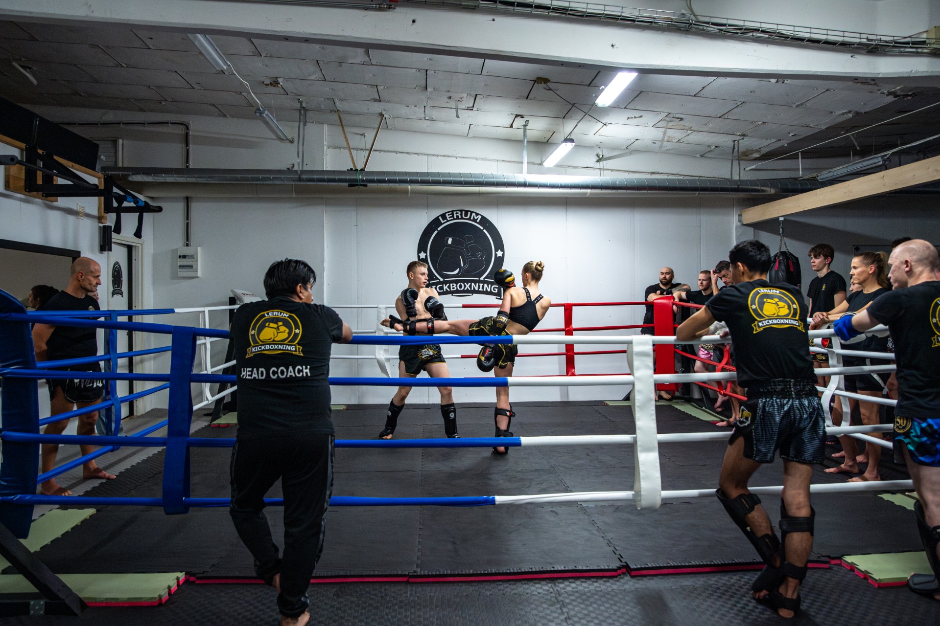 Main image of Lerums Kickboxning