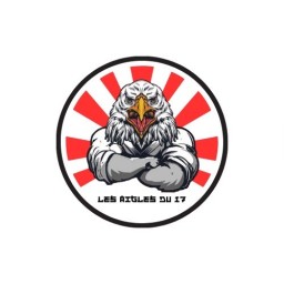 Main image of Les aigles du 17