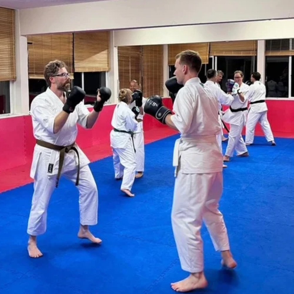 Main image of Les Bubka - All Round Karate Guildford