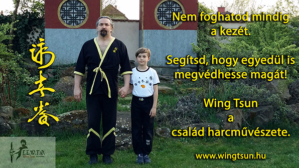 Main image of Leung Ting Wing Tsun Szentes