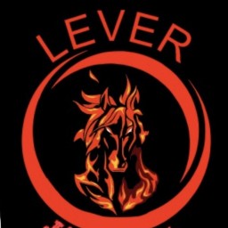 Main image of LEVER Combat Club