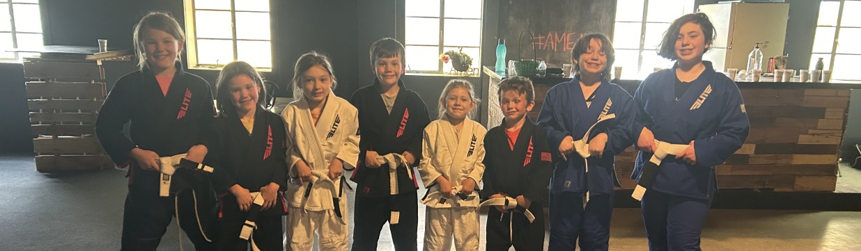 Main image of Leverage Brazilian Jiu-Jitsu