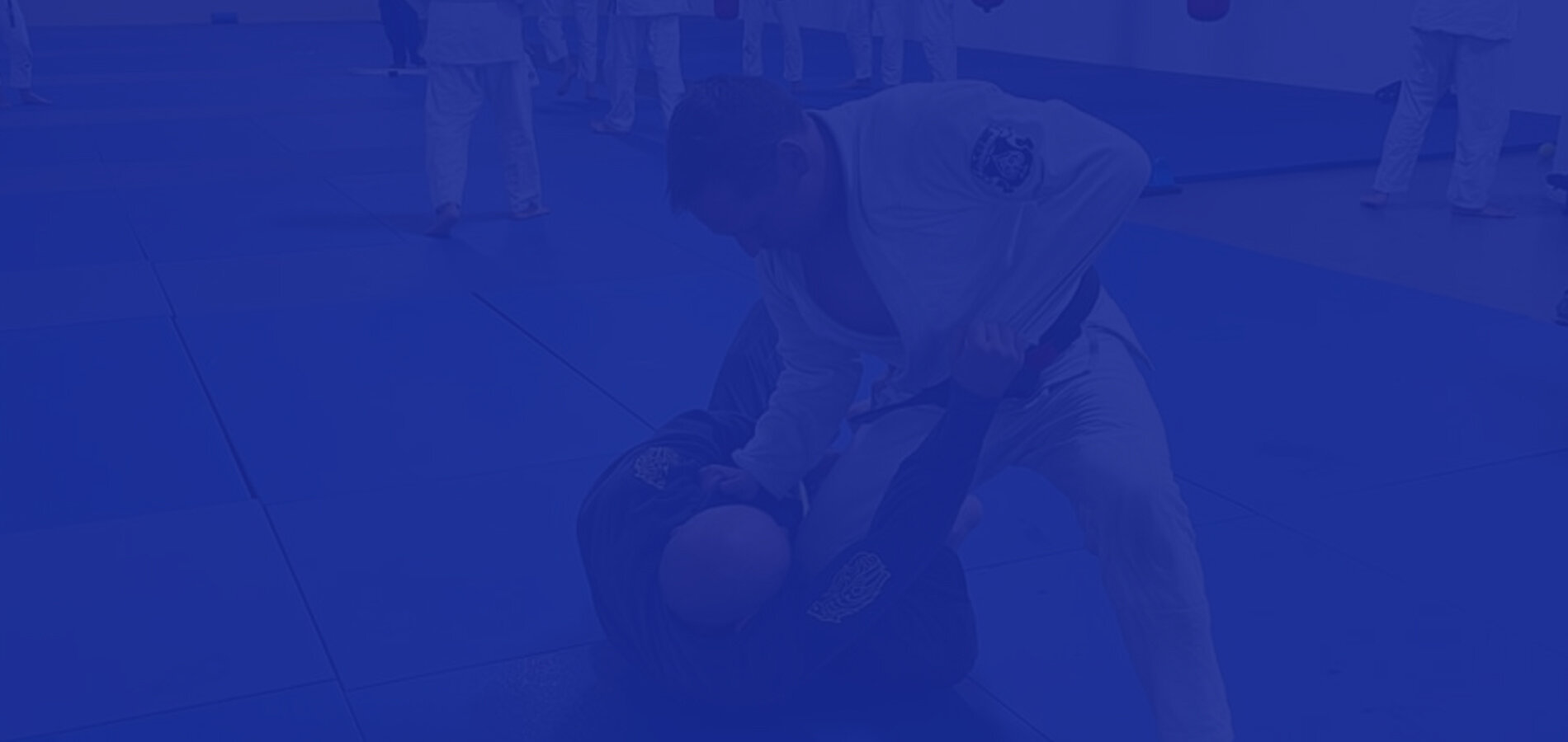 Main image of Leverage Jiu Jitsu Academy