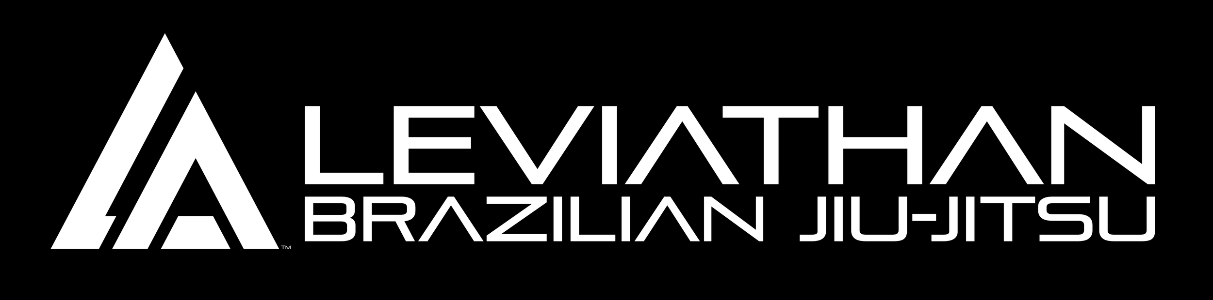 Leviathan Brazilian Jiu-Jitsu Academy Chattanooga