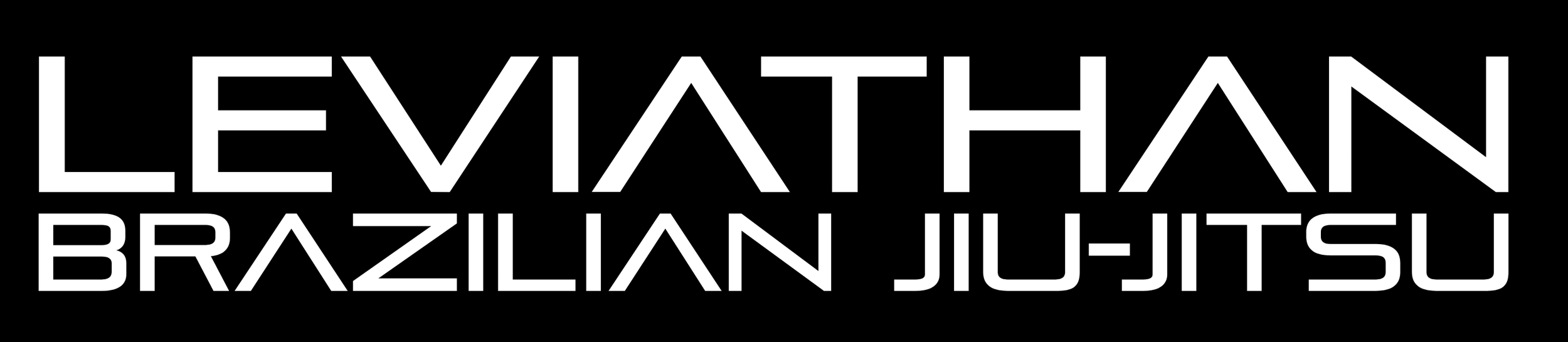 Leviathan Brazilian Jiu-Jitsu Academy Cleveland