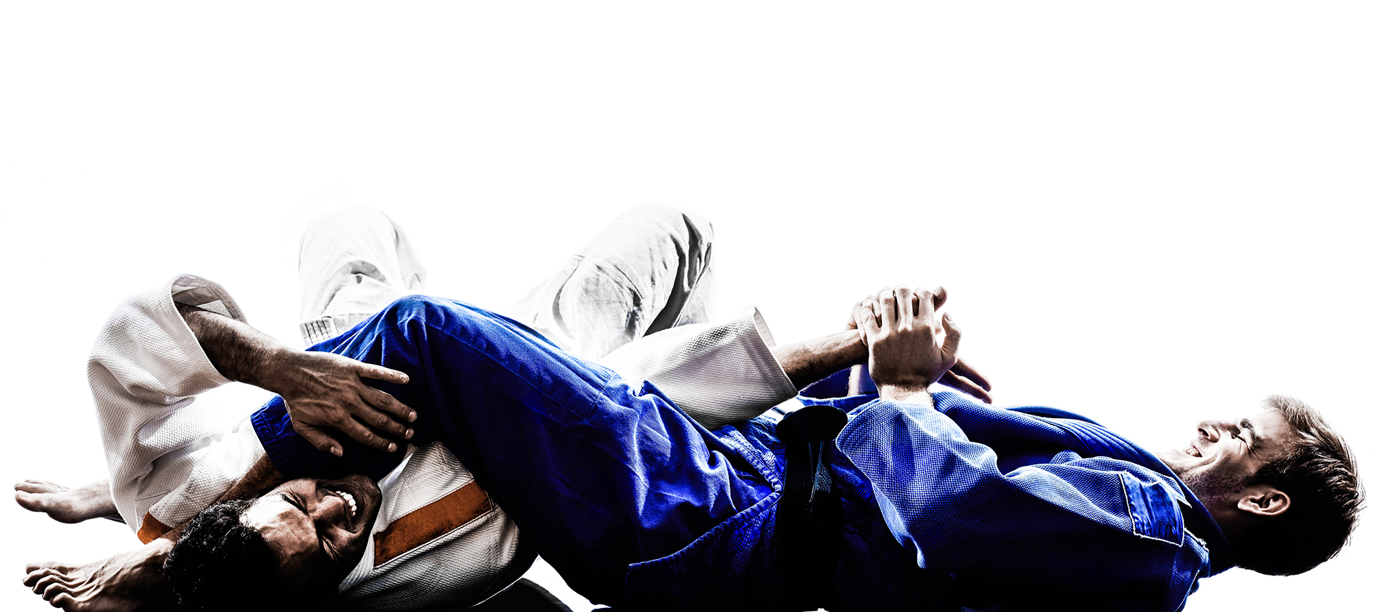 Levitate Jiu Jitsu