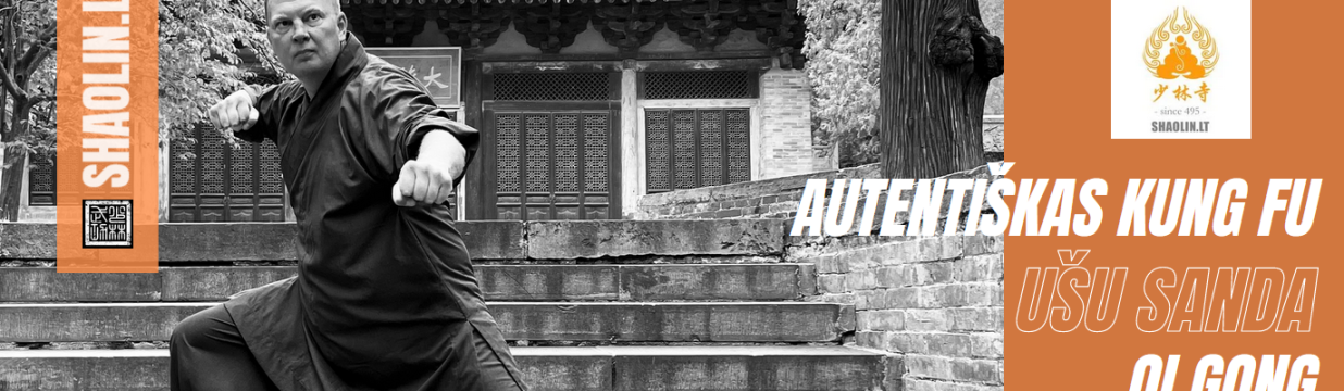 Main image of Lietuvos tradicinio ušu asociacija SHAOLIN