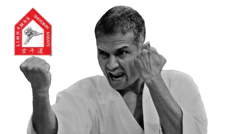 Main image of Limhamns Shotokan Karate Klubb