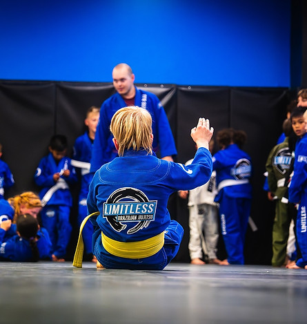 Main image of Limitless Martial Arts