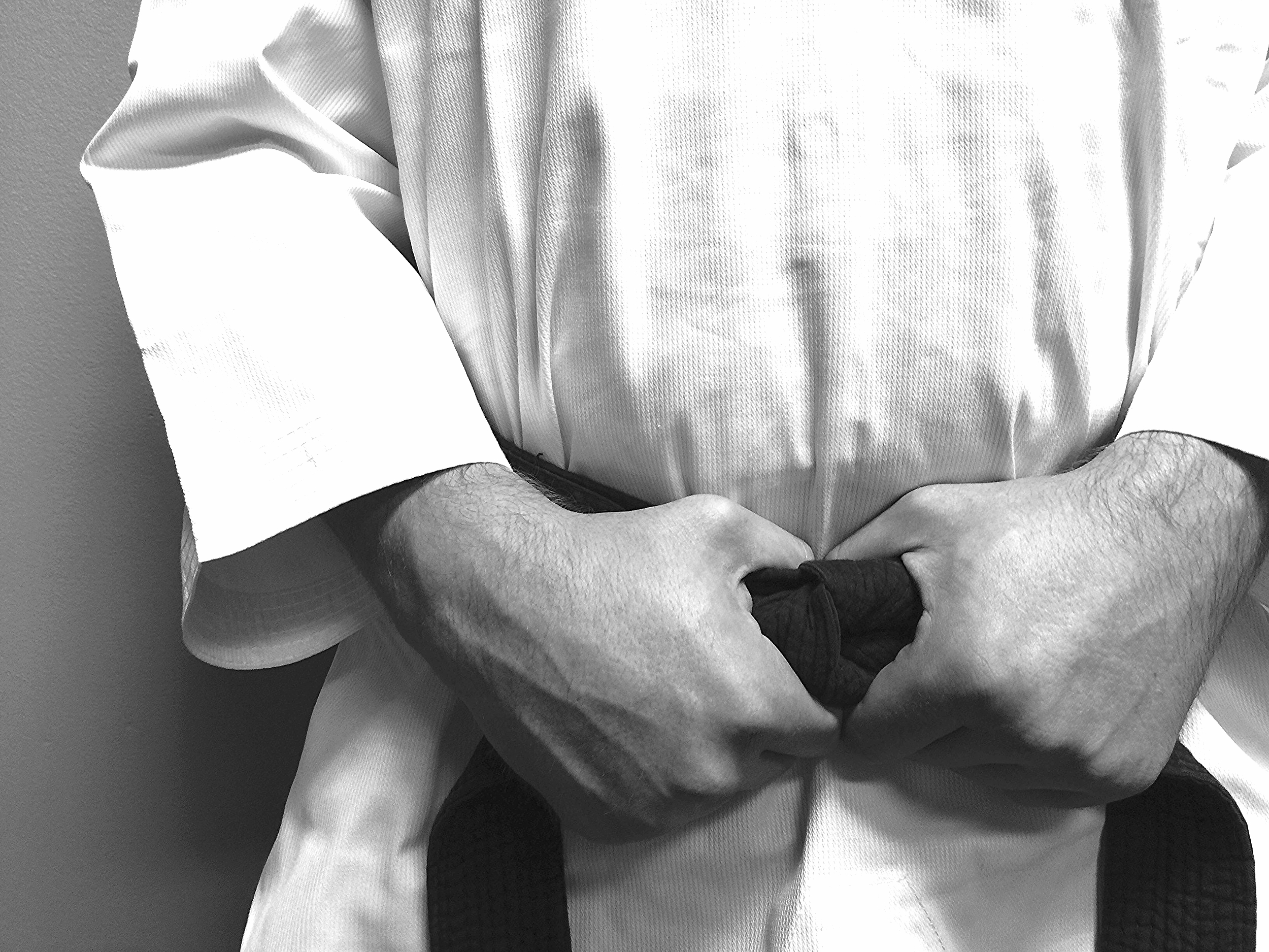 Main image of Limitless Martial Arts