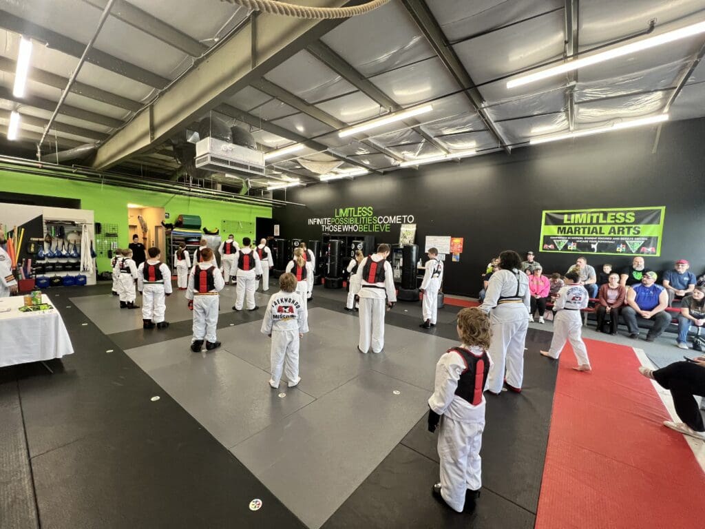 Main image of Limitless Martial Arts - Cameron, MO