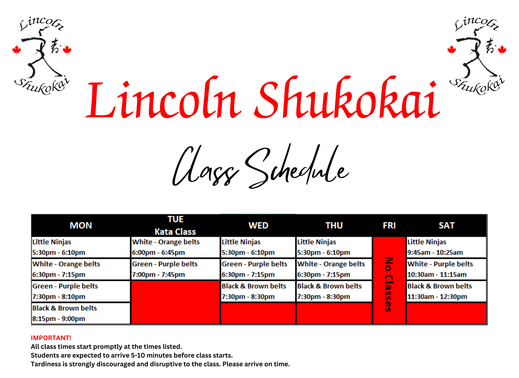 Main image of Lincoln Karate