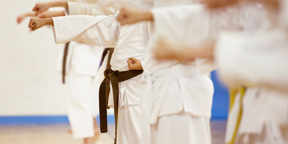 Main image of Lindsey's Martial Arts