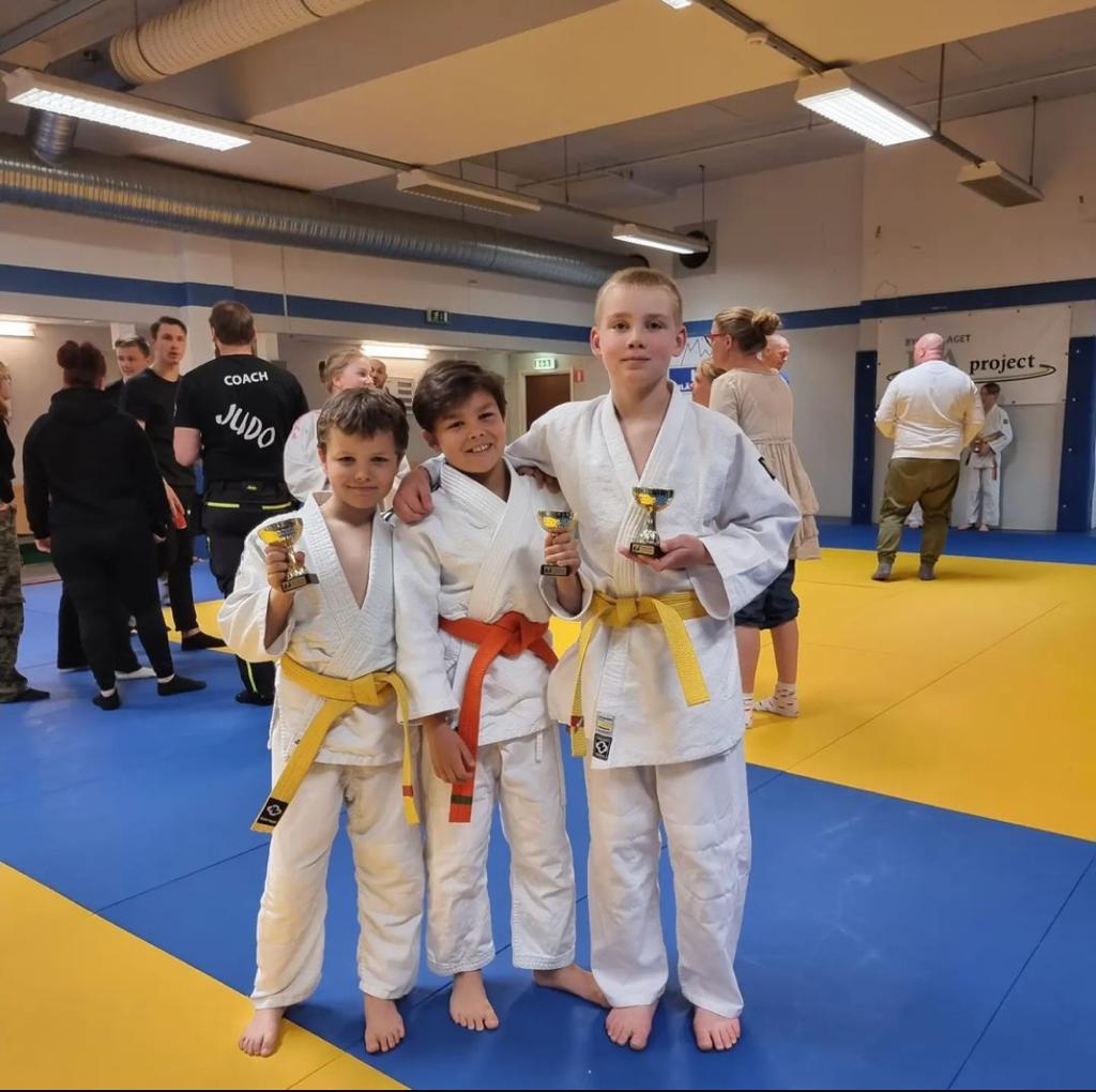 Main image of Linkoping Judo