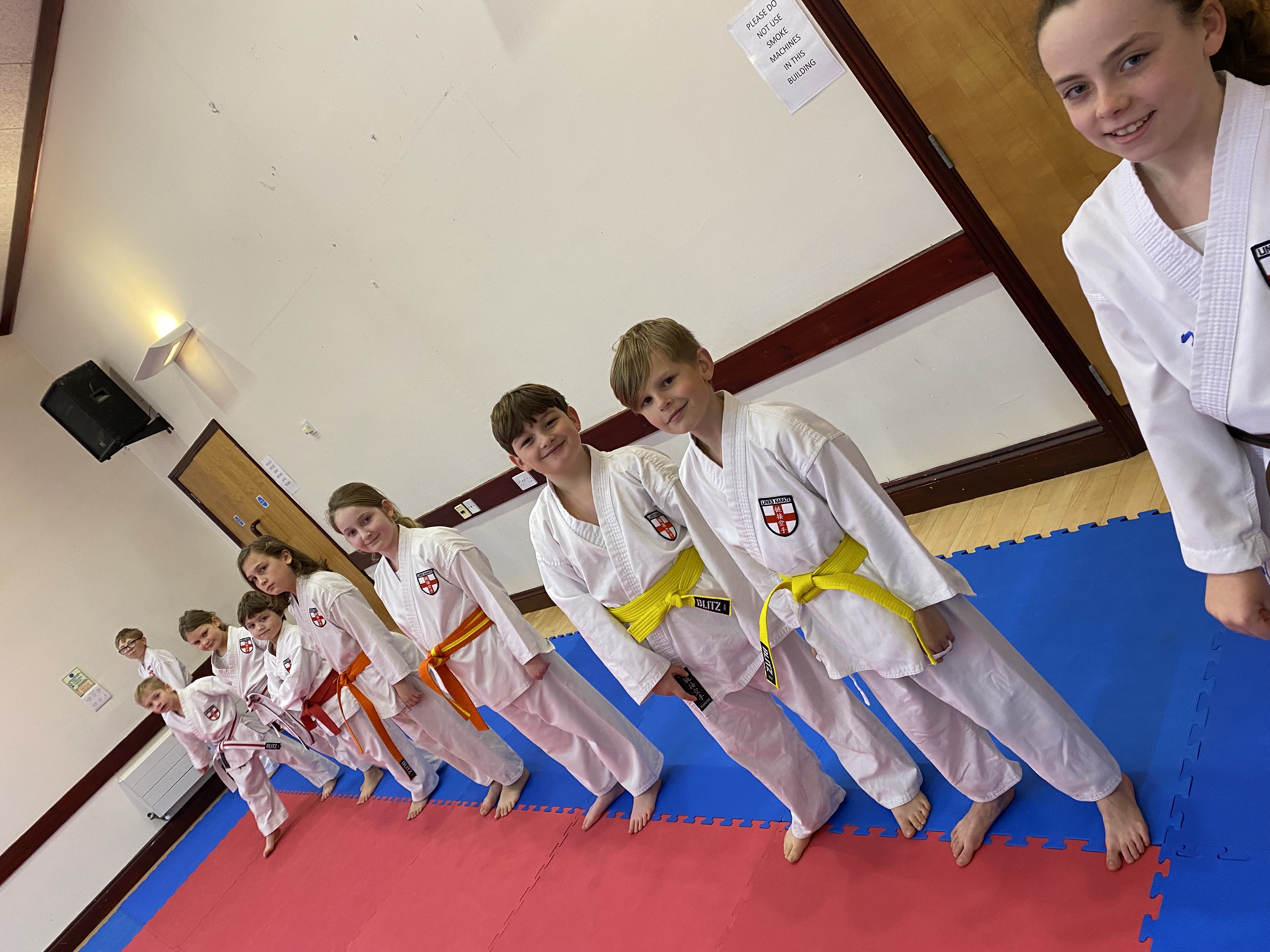 Main image of Links Karate Great Holland