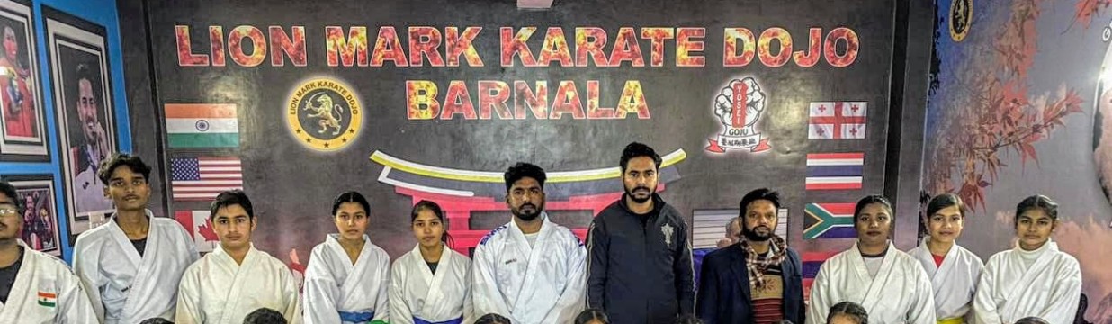 Main image of Lion Mark Karate Dojo