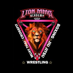 Main image of LION MMA ACADEMY