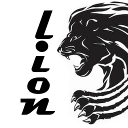 Main image of Lion MMA