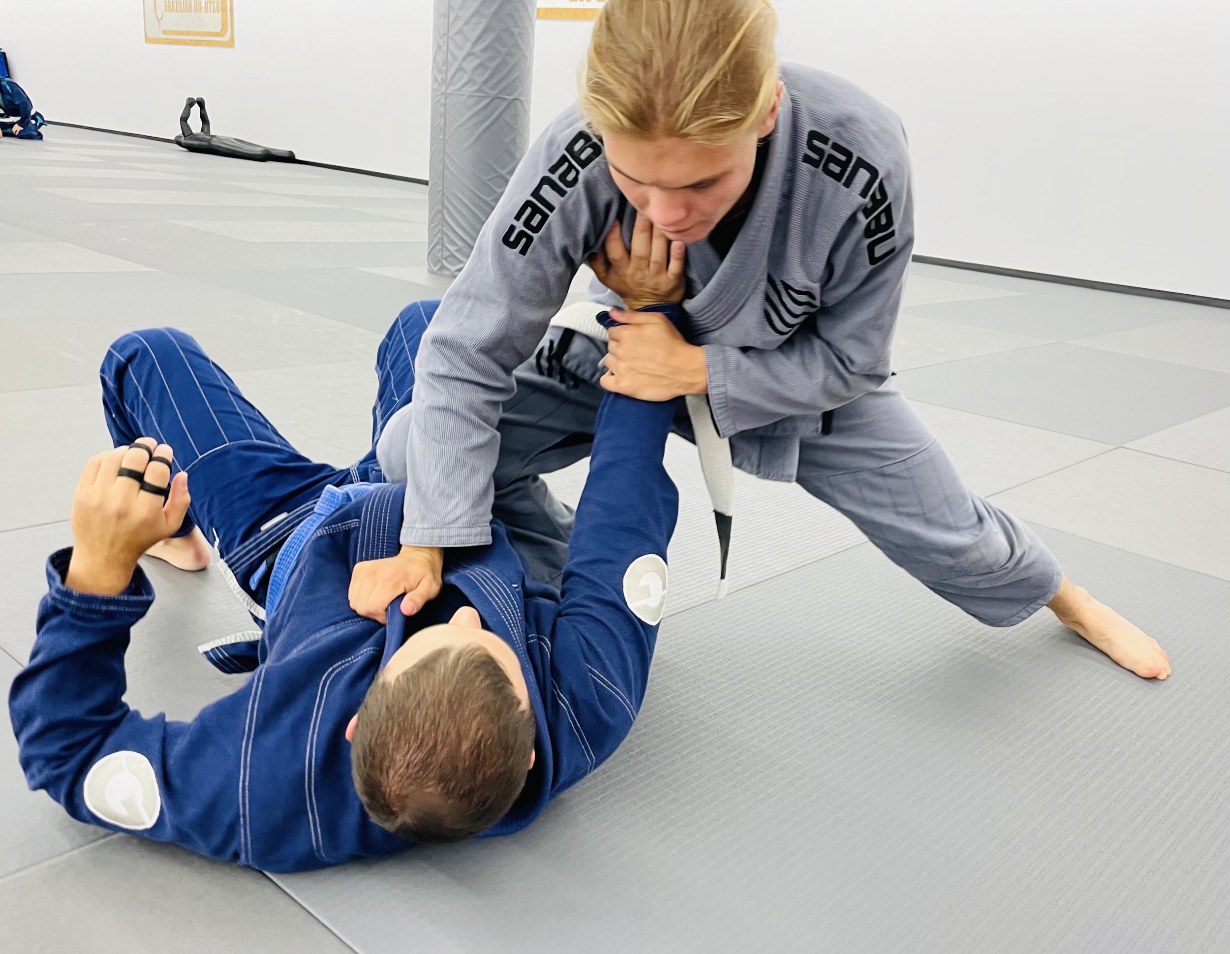 Main image of Lion's Crest Brazilian Jiu-Jitsu