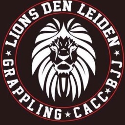 Main image of Lion's den Leiden