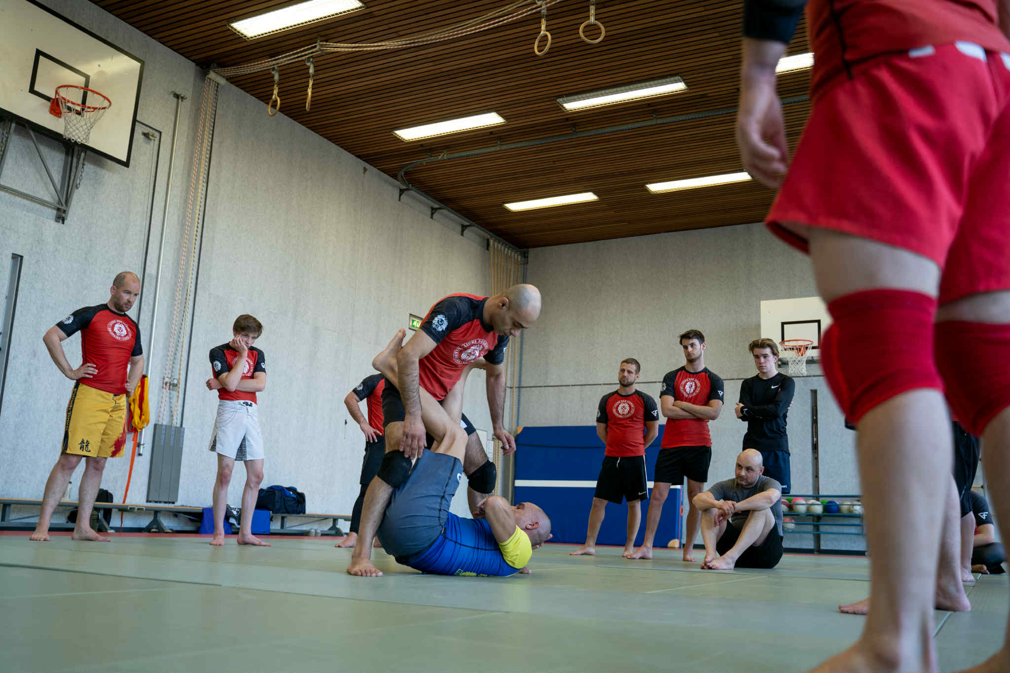 Main image of Lion's Den Leiden