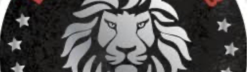Main image of LIONS MMA CLUB -Cubs competition team