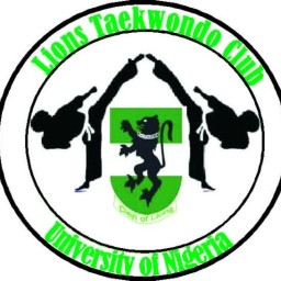 Main image of Lions Taekwondo Club